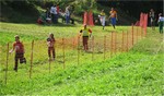 Thumb for img_0822.jpg (221 KB)